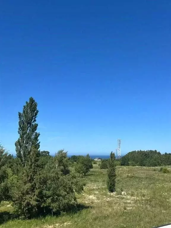 1-к кв. Калининградская область, Пионерский ул. Прибрежная, 21к1 (34.0 ... - Фото 1