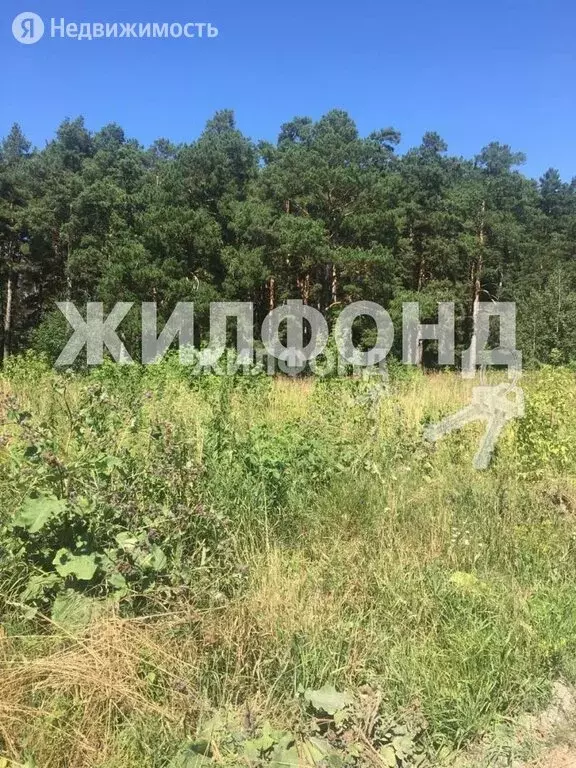 Участок в Быстровский сельсовет, посёлок Факел Революции, улица ... - Фото 0