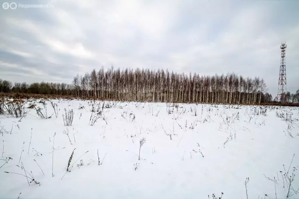 Участок в Нижегородская область, Городецкий муниципальный округ, ... - Фото 0