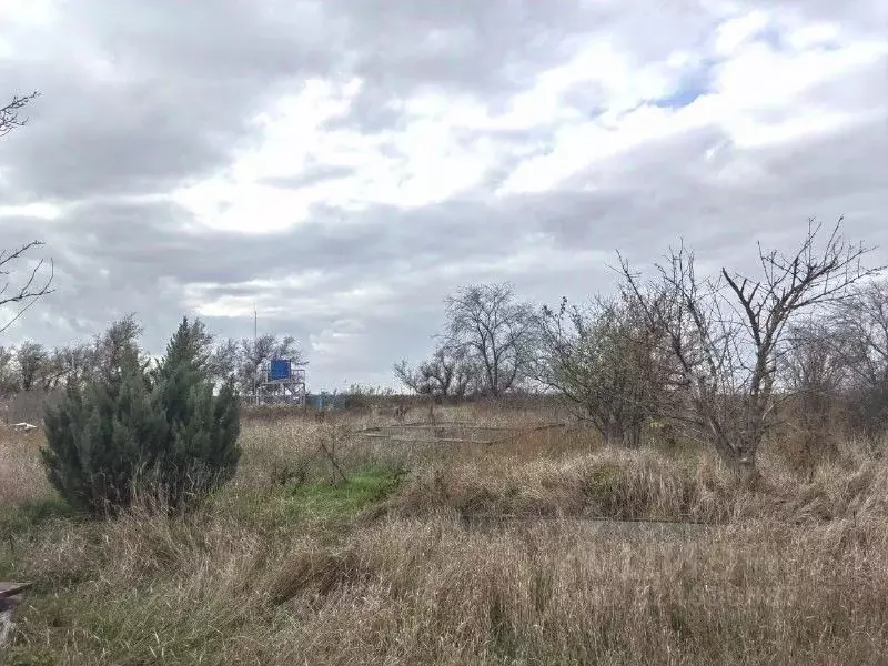 Участок в Ростовская область, Ростов-на-Дону Кумженское СНТ, ул. 6-я ... - Фото 0