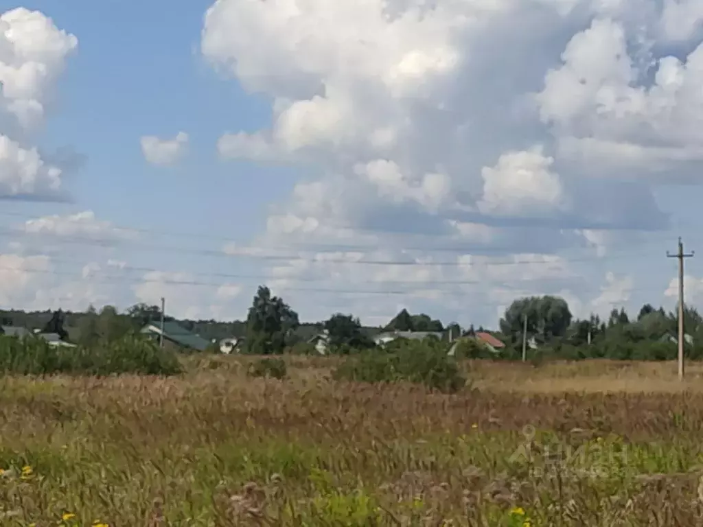 Участок в Московская область, Орехово-Зуевский городской округ, д. ... - Фото 2