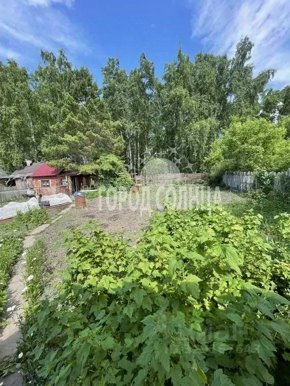 Дом в Омская область, Омск СОСН Шинник-3 тер., аллея 9-я (25 м) - Фото 2