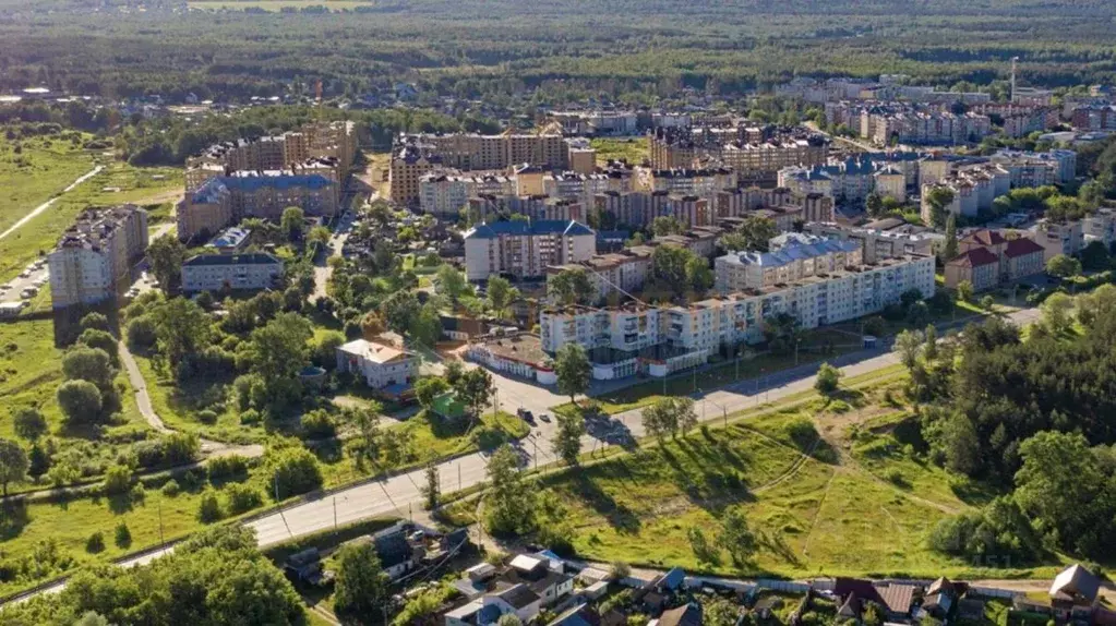 Участок в Ленинградская область, Коммунар г. Гатчинский муниципальный ... - Фото 2