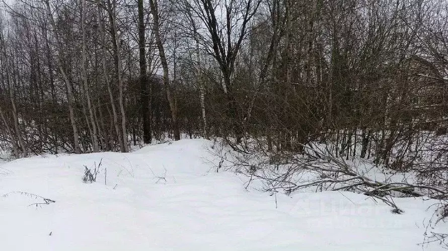Участок в Московская область, Дмитровский муниципальный округ, д. ... - Фото 0