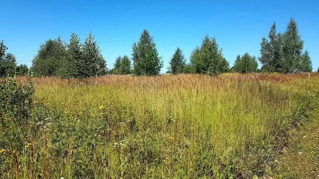 Участок в Тульская область, Заокский район, Демидовское с/пос, с. ... - Фото 1