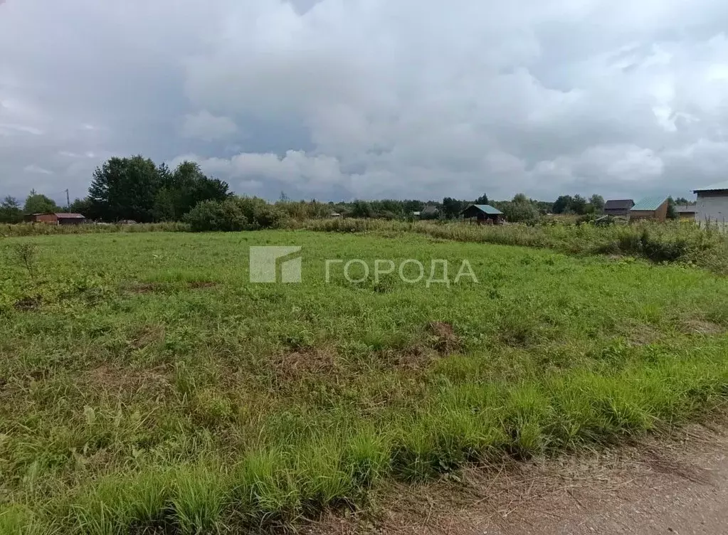 Участок в Новосибирская область, Колыванский район, Проектировщик СНТ  ... - Фото 1