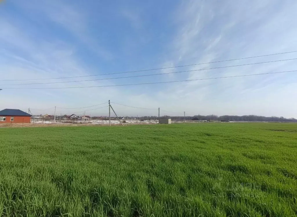 Участок в Оренбургская область, Оренбургский район, Красноуральский ... - Фото 2