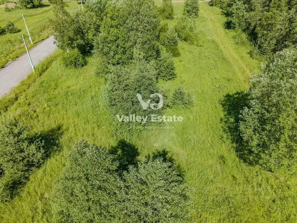 Участок в Ленинградская область, Выборгский район, Приморское ... - Фото 0