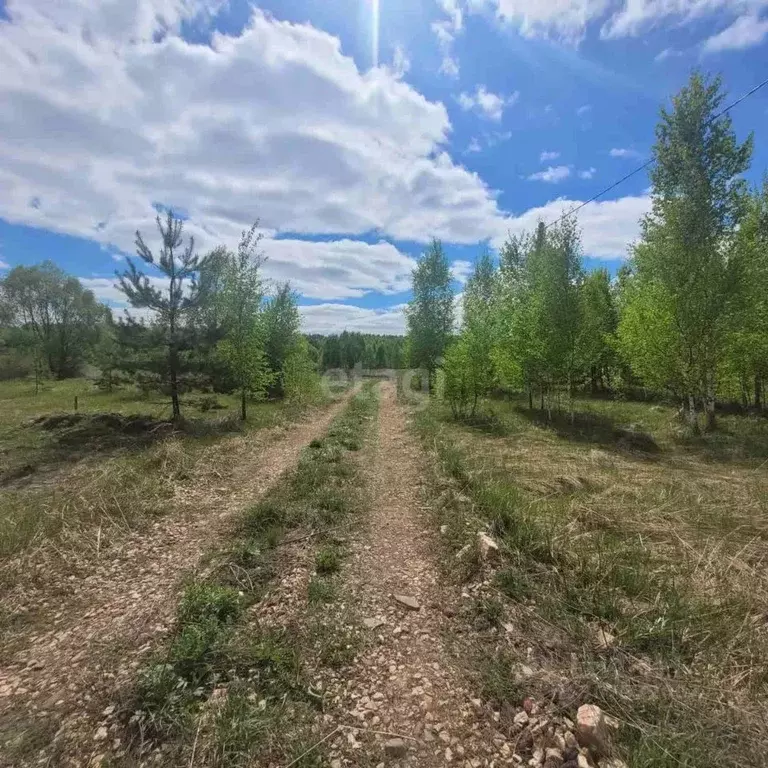 Участок в Владимирская область, Муром д. Коржавино, ул. Березовая Роща ... - Фото 1