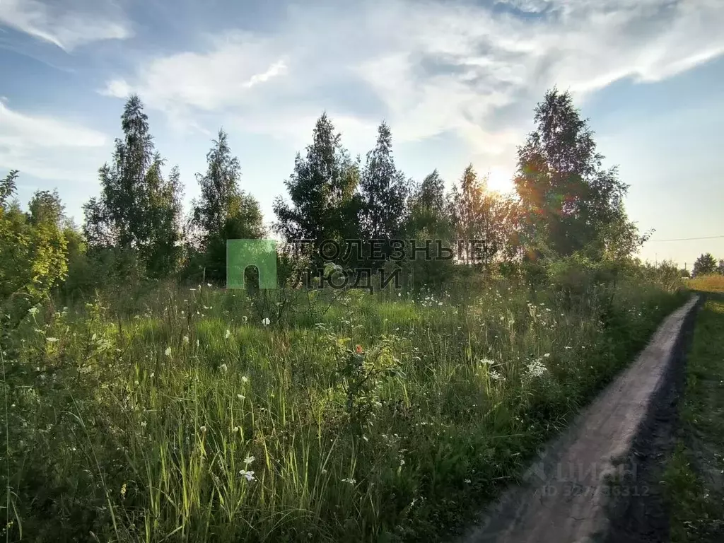 Участок в Орловская область, Орел Рябиновая ул., 59 (10.0 сот.) - Фото 2