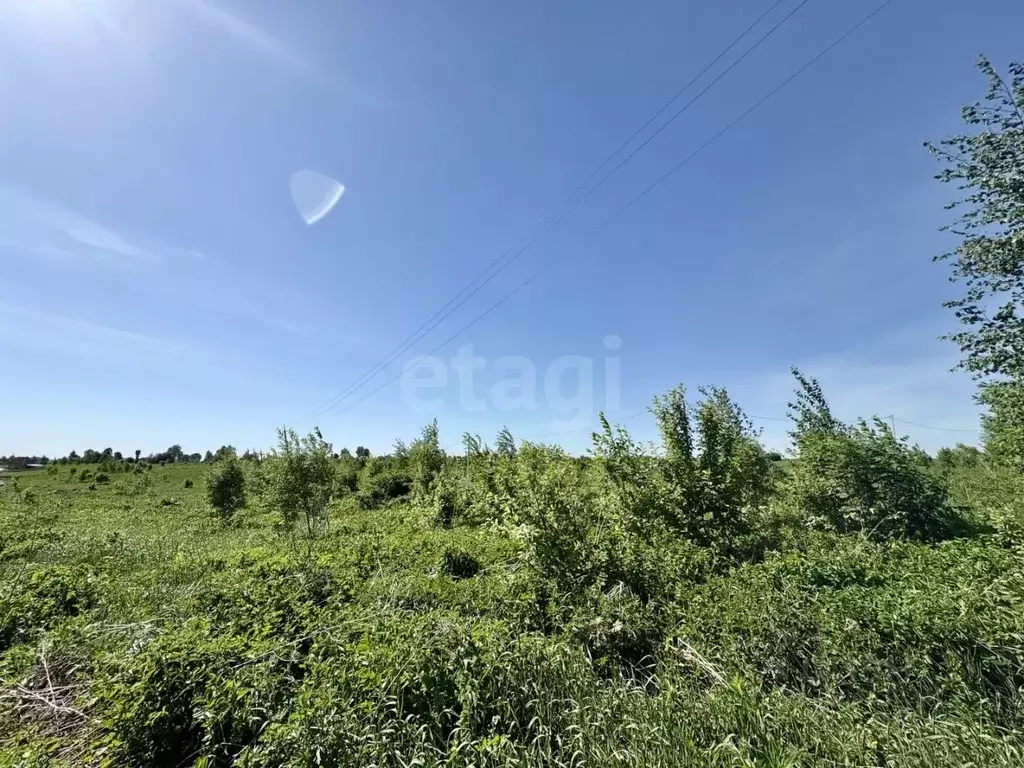 Участок в Марий Эл, Йошкар-Ола городской округ, д. Акшубино ул. ... - Фото 1
