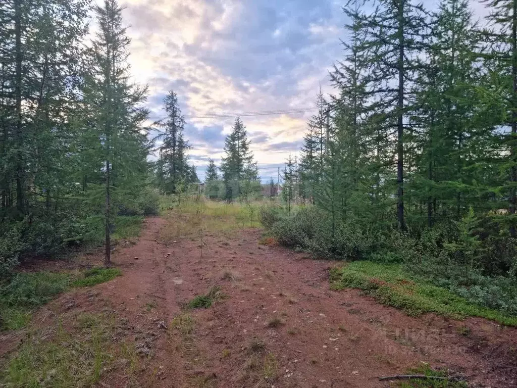 Участок в Ямало-Ненецкий АО, Новый Уренгой Титан ДНТ, 149 (6.0 сот.) - Фото 1