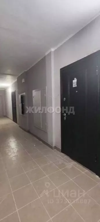 1-к кв. Новосибирская область, Бердск ул. Ленина, 114 (33.8 м) - Фото 2