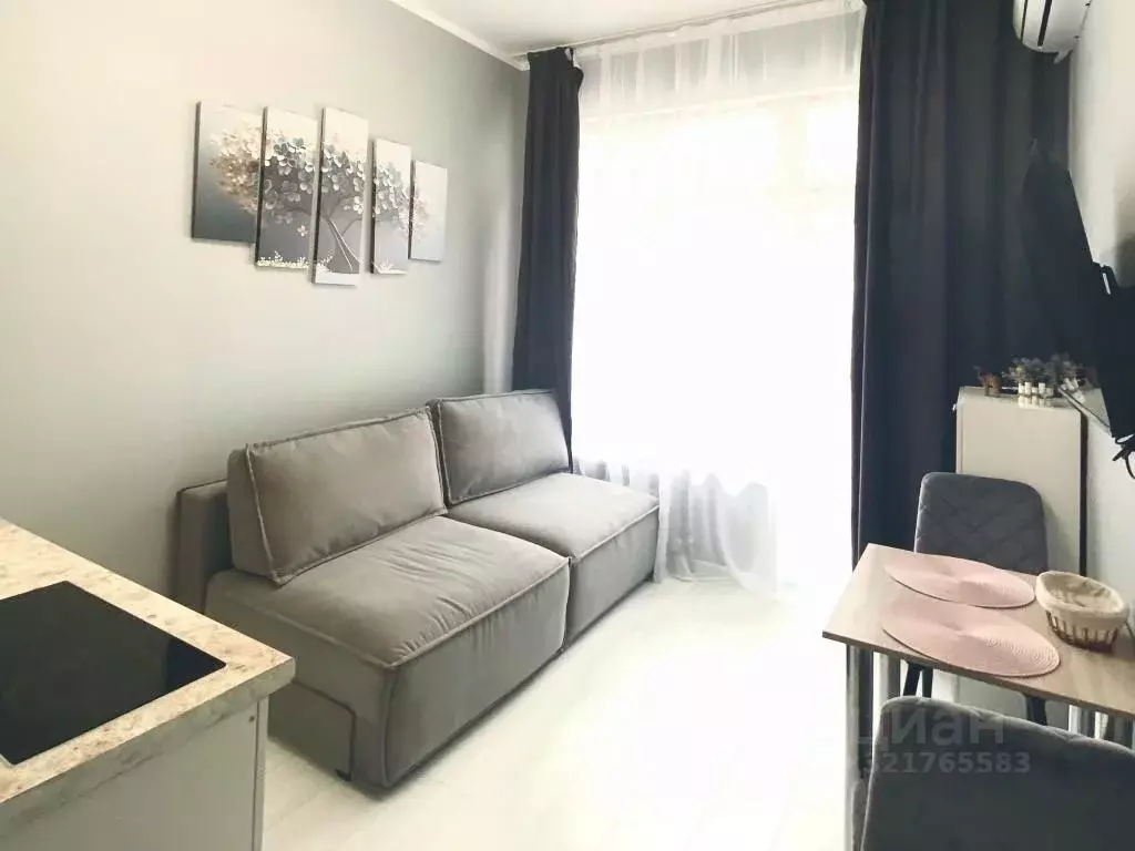 1-к кв. Краснодарский край, Сочи ул. Ленина, 290/6 (18.0 м) - Фото 0