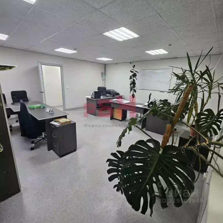 Офис в Курганская область, Курган ул. Красина, 49 (160 м) - Фото 0