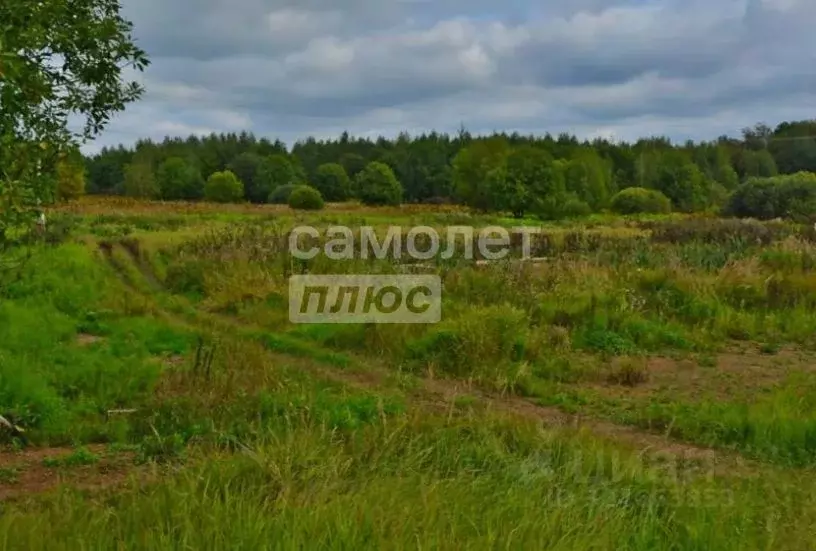Участок в Московская область, Рузский муниципальный округ, с. ... - Фото 1