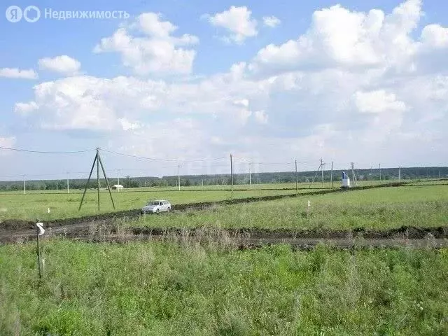 Участок в Курганская область, Лебяжьевский муниципальный округ, село ... - Фото 0