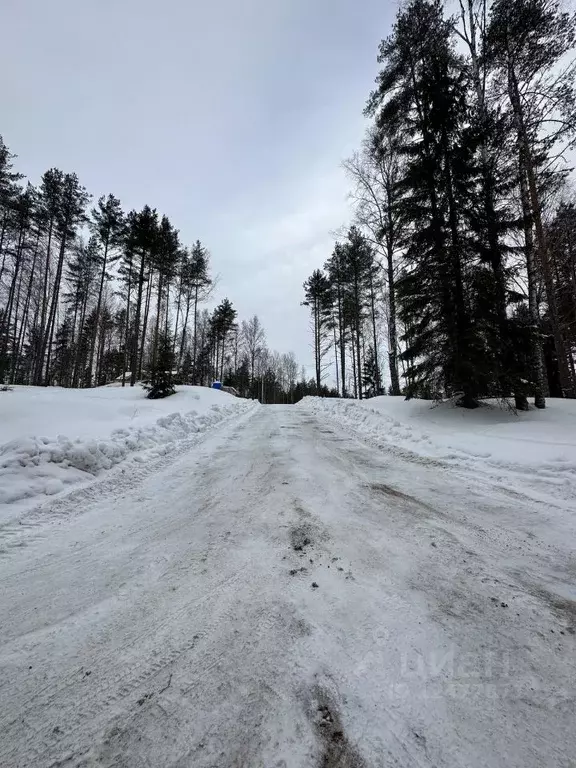 Участок в Ленинградская область, Всеволожский район, Куйвозовское ... - Фото 1