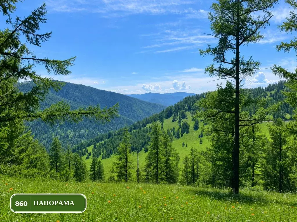 Участок в Алтай, Чемальский район, Элекмонарское с/пос, Седьмое Небо ... - Фото 1