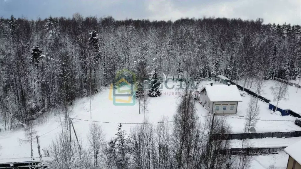 Участок в Ленинградская область, Всеволожский район, Лесколовское ... - Фото 1
