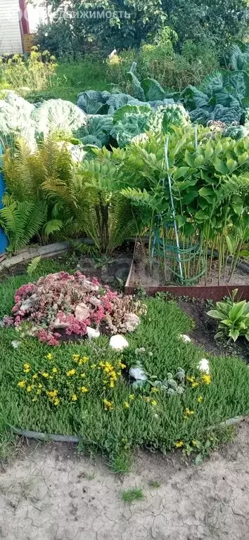 Дом в Ишим, СДТ Энергетик (12 м) - Фото 1