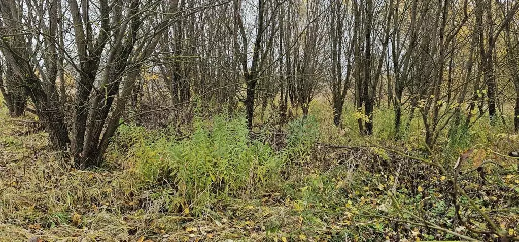 Участок в Московская область, Луховицы  (15.11 сот.) - Фото 2