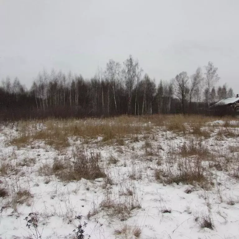 Участок в Московская область, Коломна городской округ, с. Бояркино  ... - Фото 0