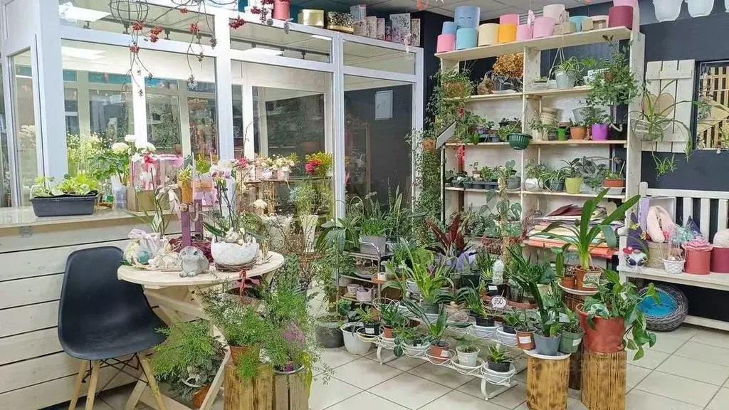 Торговая площадь в Коми, Сыктывкар Коммунистическая ул., 75/2 (52 м) - Фото 2