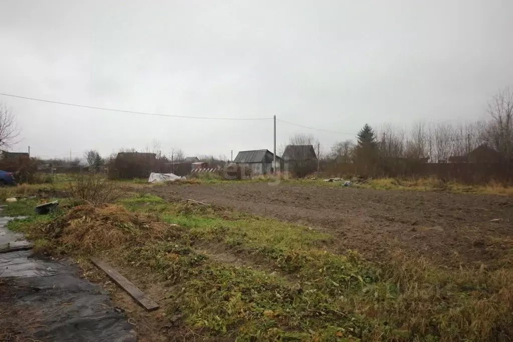 Дом в Вологодская область, Шекснинский муниципальный округ, Мираж ... - Фото 1