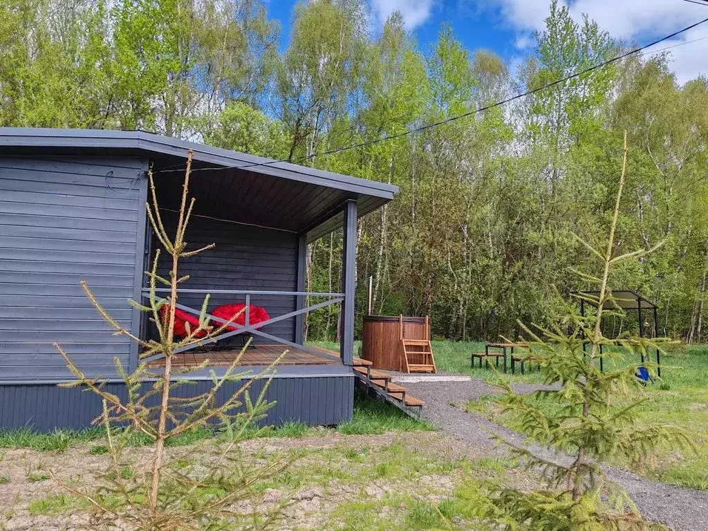 Дом в Тульская область, Заокский район, Малаховское с/пос, д. Федино  ... - Фото 2