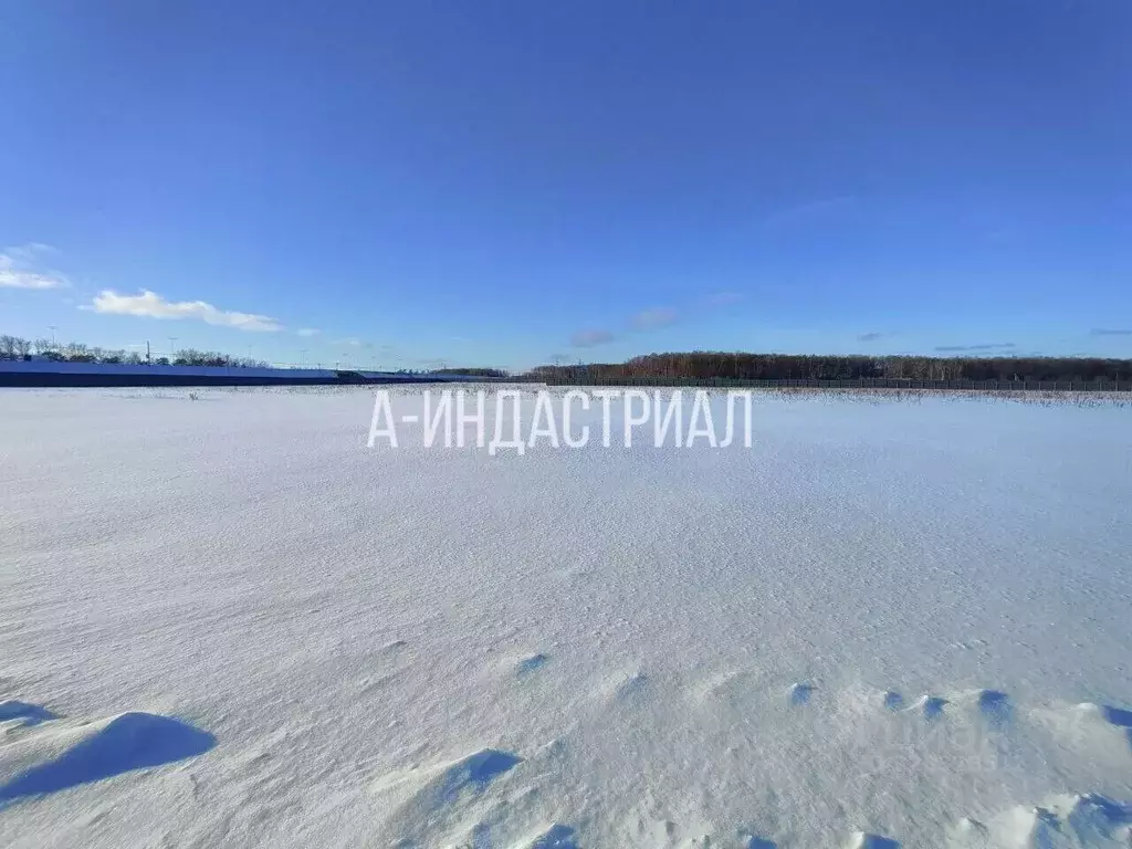 Участок в Московская область, Подольск городской округ, Лучинское СНТ ... - Фото 2