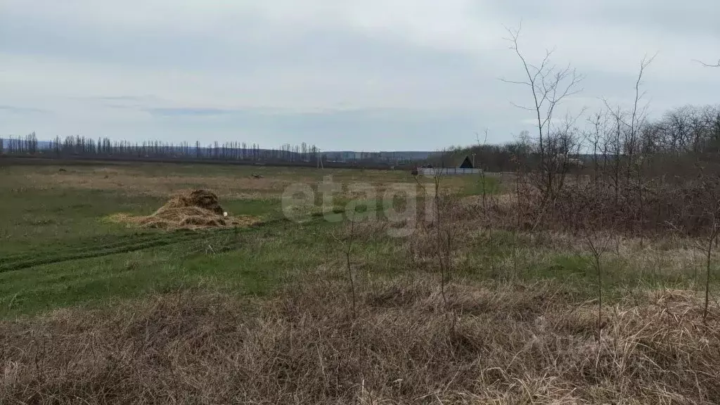 Участок в Адыгея, Майкопский район, Победенское с/пос, пос. Удобный  ... - Фото 1