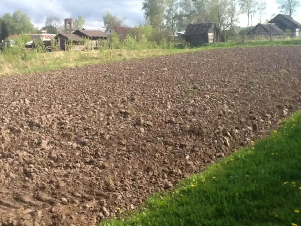 Продается участок в с. Якоть - Фото 1