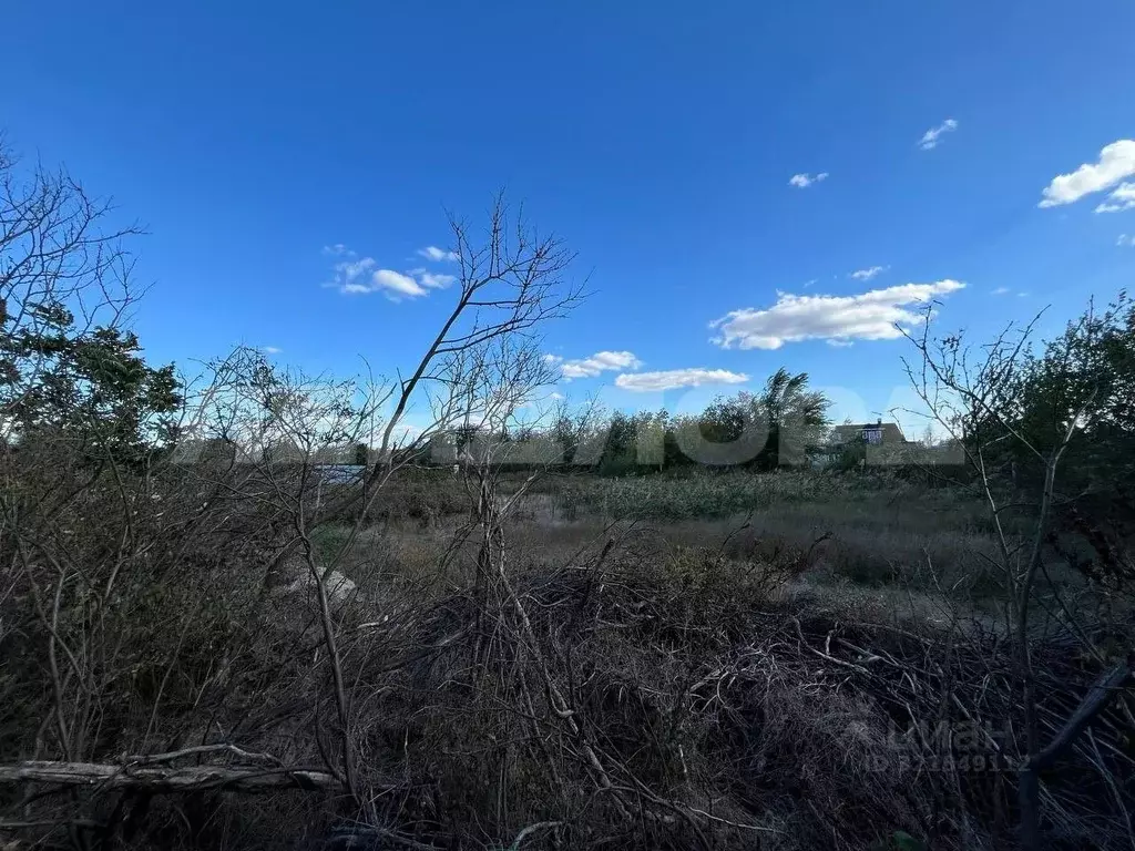 Участок в Ростовская область, Багаевский район, Манычская ст-ца ул. ... - Фото 2