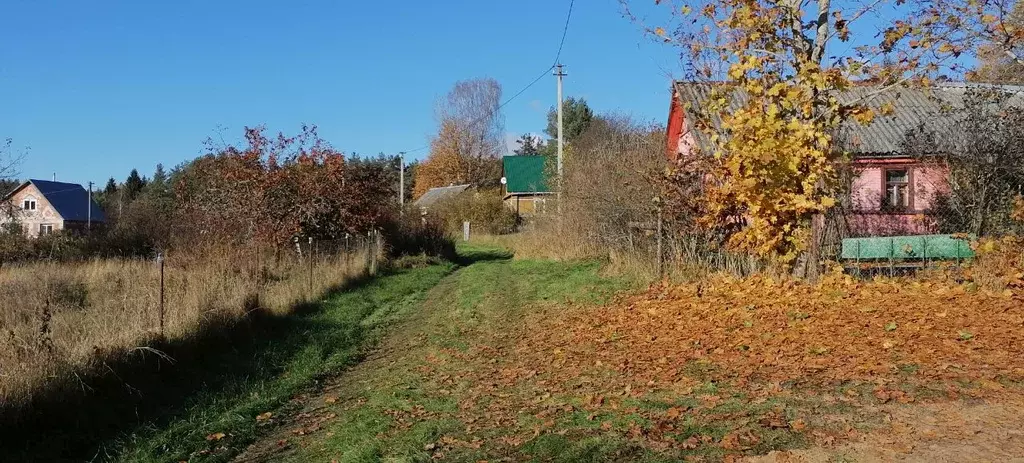 Участок в Псковская область, Псковский район, Середкинская волость, ... - Фото 1
