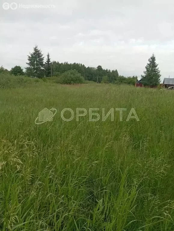 Участок в Тюменская область, Ялуторовский муниципальный округ, садовое ... - Фото 2