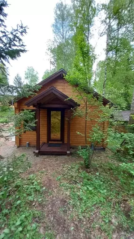 Дом в Алтай, Турочакский район, с. Артыбаш  (27 м) - Фото 1