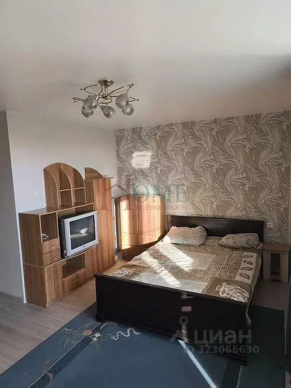 1-к кв. Новосибирская область, Новосибирск ул. Немировича-Данченко, ... - Фото 1