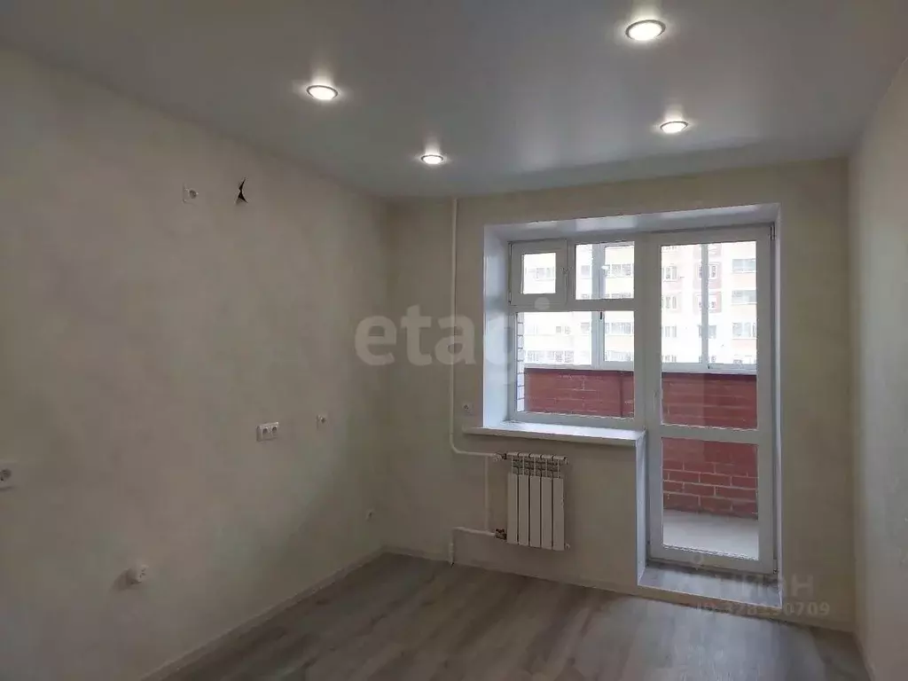 Студия Амурская область, Благовещенский район, с. Чигири ул. ... - Фото 1