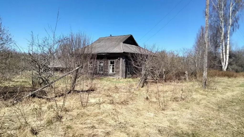 Дом в Тверская область, Оленинский район, д. Лезвино  (62 м) - Фото 1