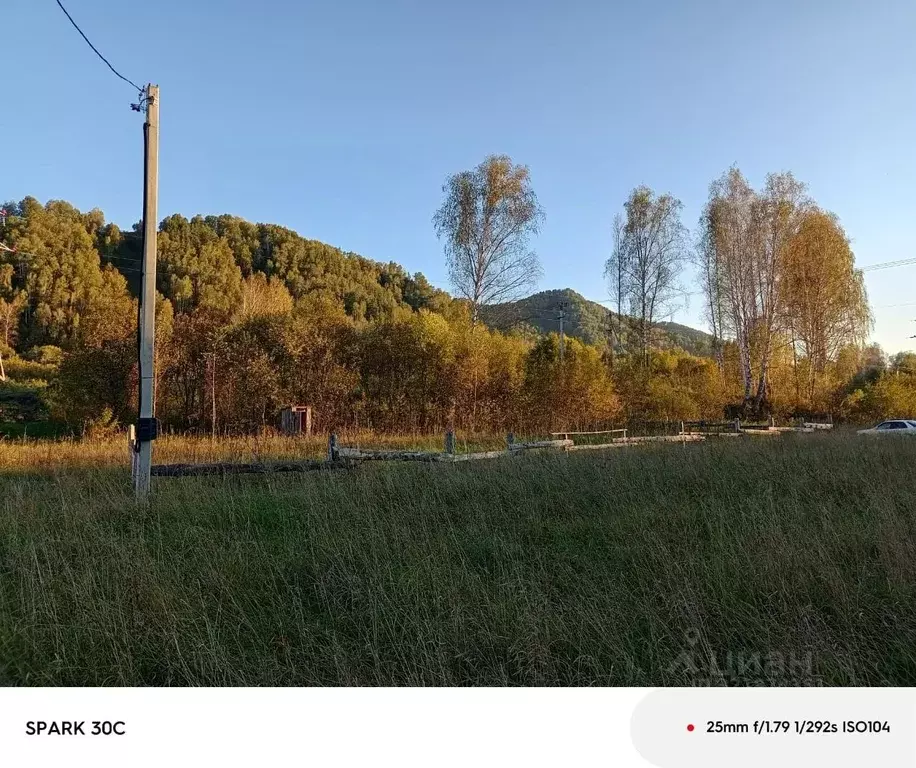 Участок в Алтай, Майминский район, Соузгинское с/пос, пос. Черемшанка ... - Фото 1