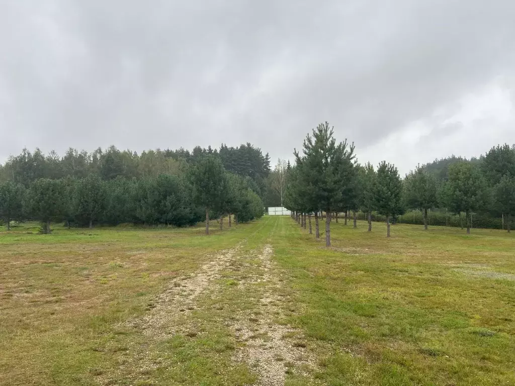 Участок в Рязанская область, Клепиковский район, Ненашкинское с/пос, ... - Фото 2
