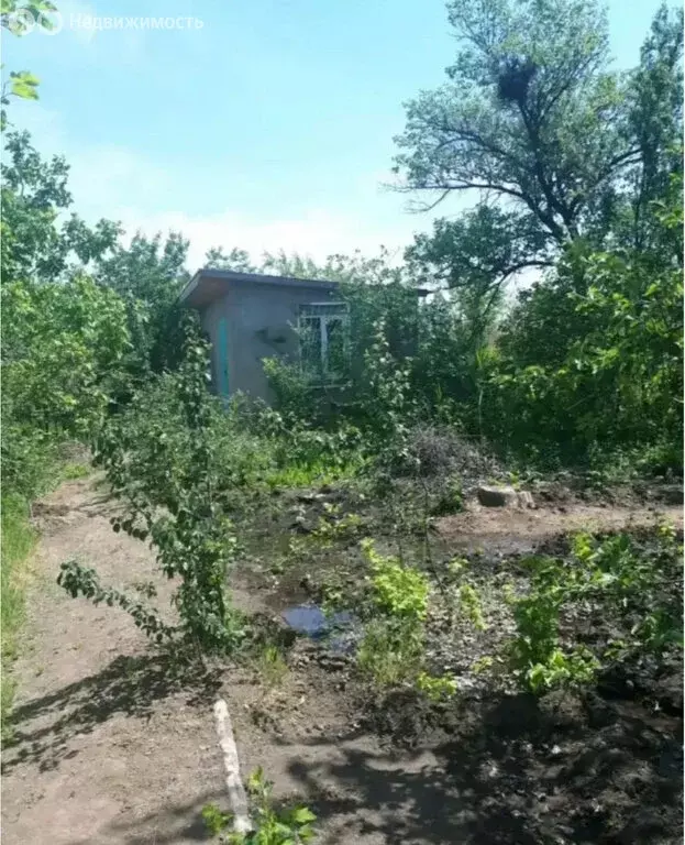 Участок в Астрахань, СНТ Артёмовец, 105 (10.099999 м) - Фото 1