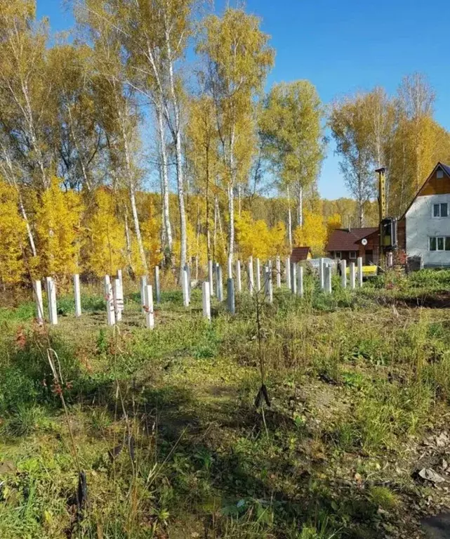 Участок в Новосибирская область, Новосибирский район, Барышевский ... - Фото 1