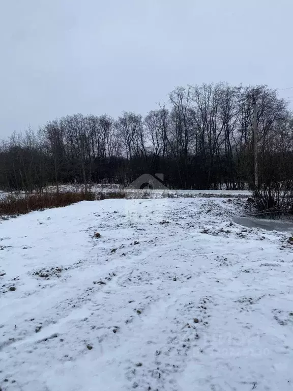 Участок в Ярославская область, Ярославский муниципальный округ, с. ... - Фото 2