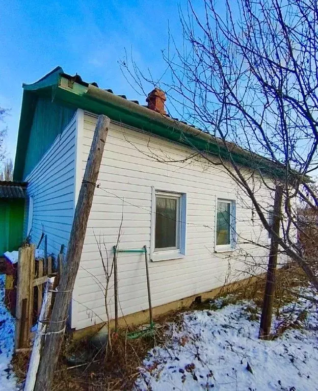 Дом в Приморский край, Партизанский муниципальный округ, с. Новицкое ... - Фото 1