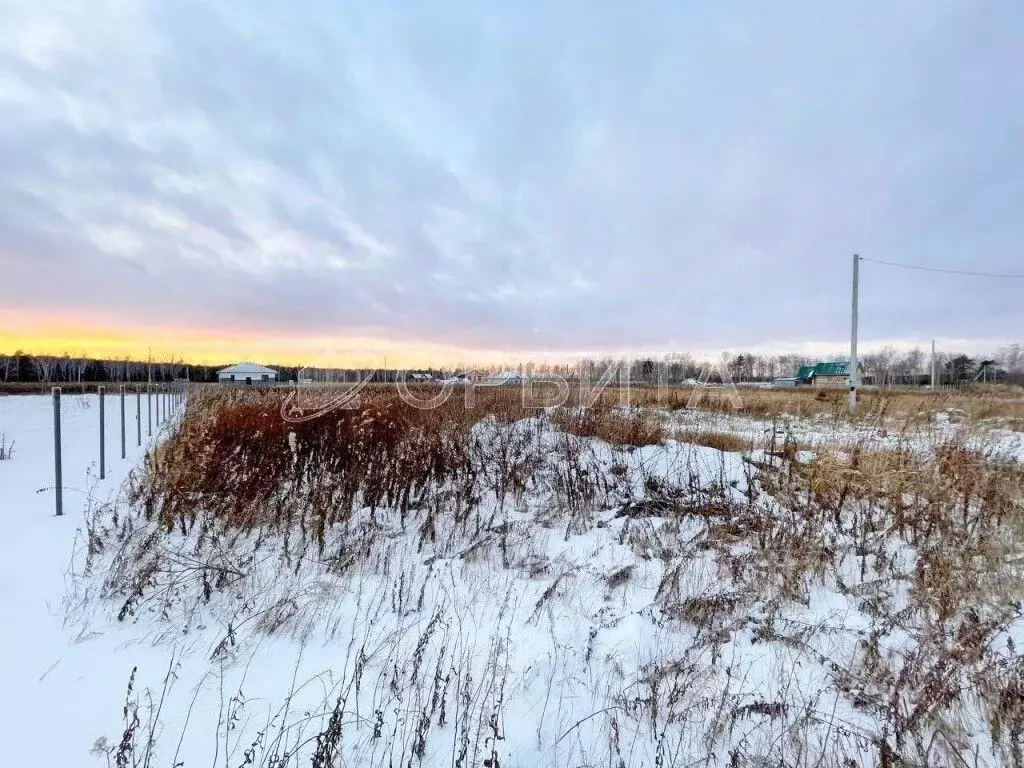 Участок в Тюменская область, Тюменский район, с. Каменка  (13.0 сот.) - Фото 0