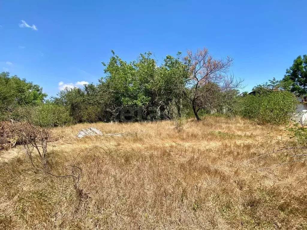 Участок в Севастополь с. Орлиное, ул. Платановая (11.24 сот.) - Фото 2