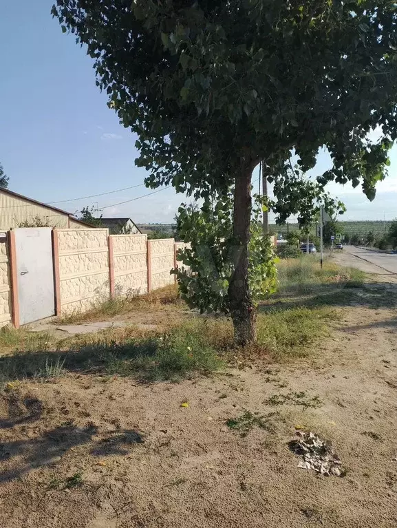 Дом 74,5 м на участке 8 сот. - Фото 1