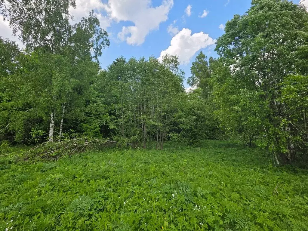 Участок в Московская область, городской округ Клин, деревня Тиликтино ... - Фото 2